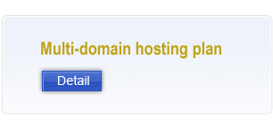 Multi-domain hosting plan